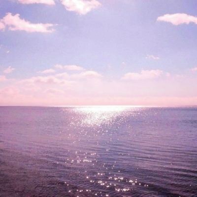 开元棋脾官方网站