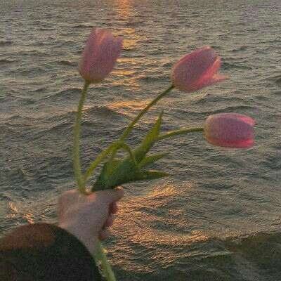 国内最大竞彩跟单APP截图