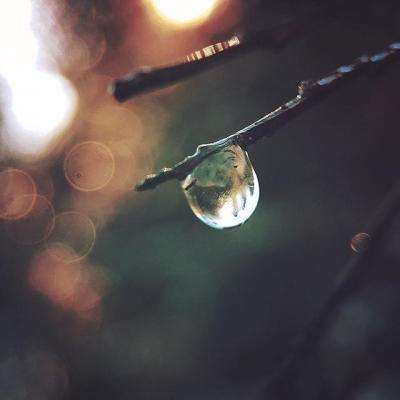 神彩争霸8下载手机版截图